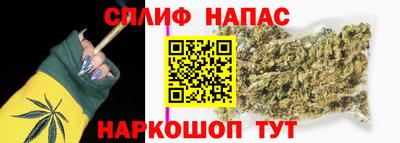 стаф Камышлов