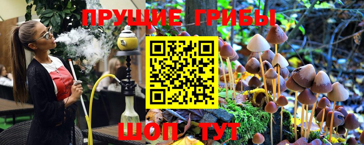 Псилоцибиновые грибы Cubensis  купить закладку  Каменка  Вход с VPN 